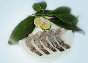 Raw Peeled and Deveined Tail-On Black Tiger Shrimp